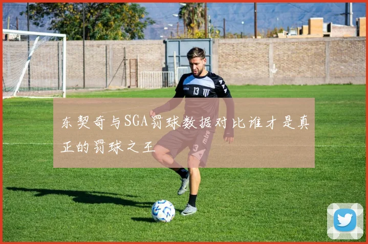 东契奇与SGA罚球数据对比谁才是真正的罚球之王