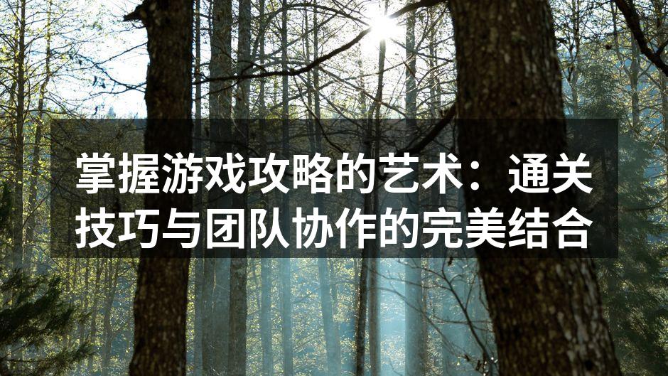 掌握游戏攻略的艺术：通关技巧与团队协作的完美结合