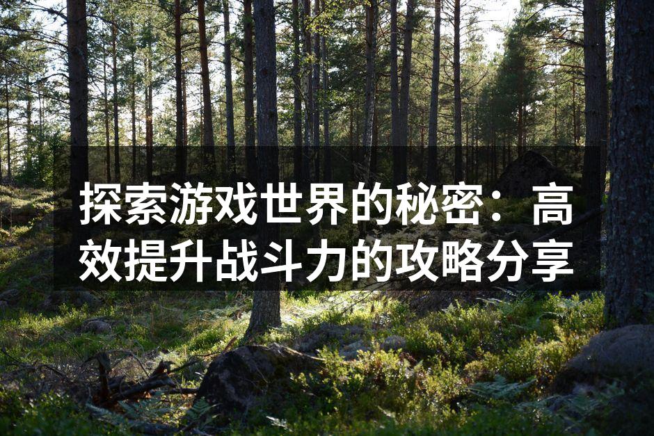 探索游戏世界的秘密：高效提升战斗力的攻略分享